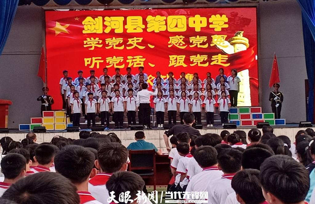 青蛙與狗的泳池挑戰(zhàn)，揭秘游泳比賽背后的故事，青蛙夢工廠的秘密探索