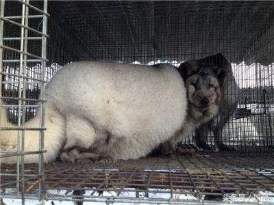 工程廠房燈具 第170頁(yè)