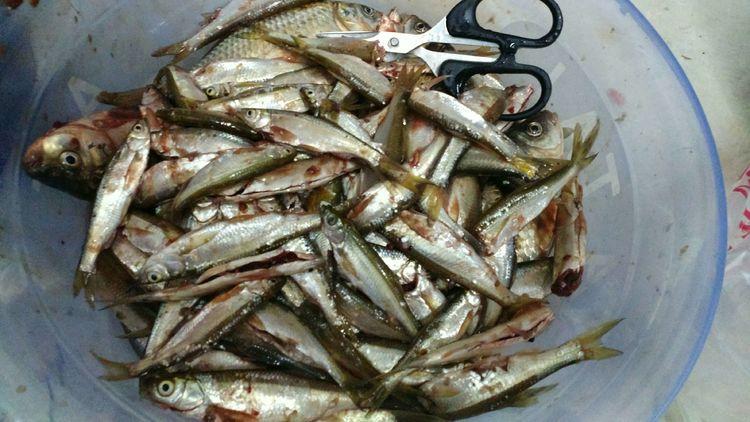 昆明最新野釣地點探索，重拾生活激情與自信的自然之旅