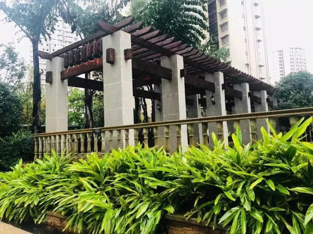 陽(yáng)光江山金岸最新動(dòng)態(tài)揭秘，全面指南與步驟詳解