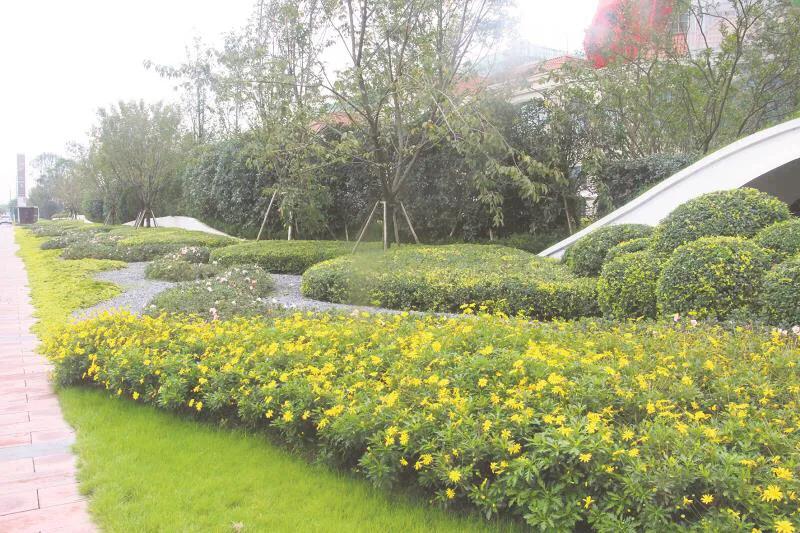 嬢王演員的自然之旅，邂逅美景，尋找內(nèi)心平和之道