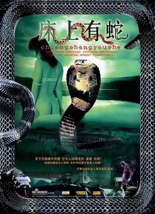 最新蛇片，蛻變的旅程，召喚自信與成就感的冒險之旅