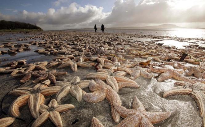 死亡擱淺電影，小巷深處的獨特觀影之旅