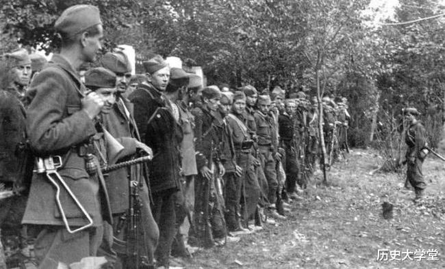 南斯拉夫電影二戰(zhàn)老片，自然美景背后的探索之旅