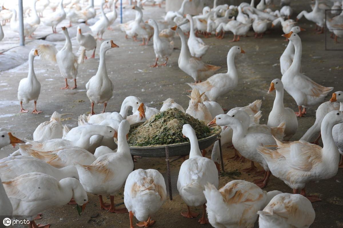 廣場(chǎng)燈具 第146頁