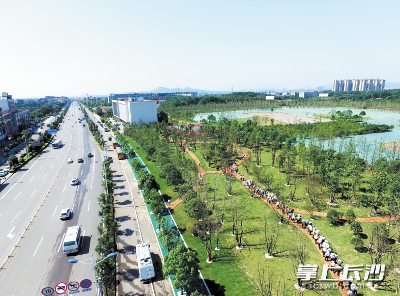 長沙黃橋大道崛起，夢想啟航之路最新動態(tài)