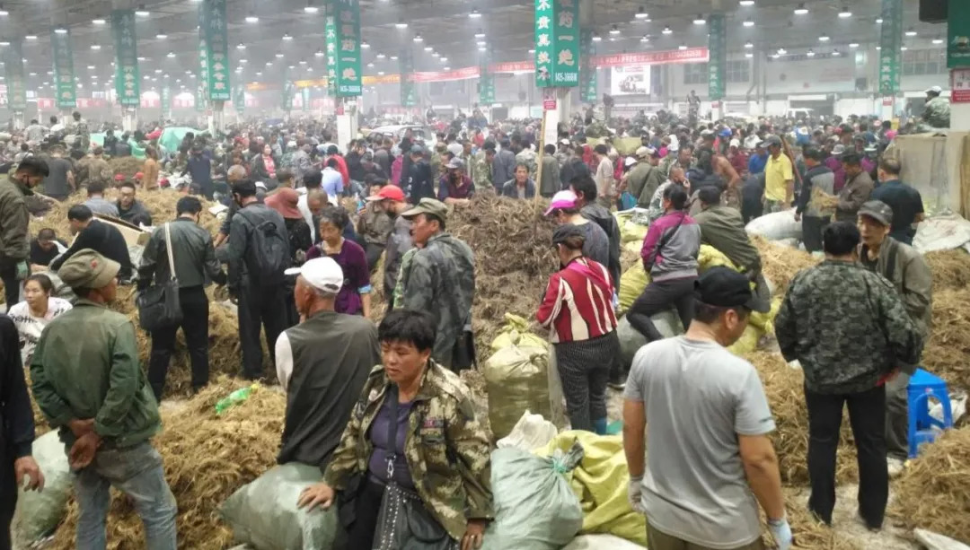 萬良人參市場(chǎng)最新動(dòng)態(tài)揭秘，日常奇遇與溫情紐帶