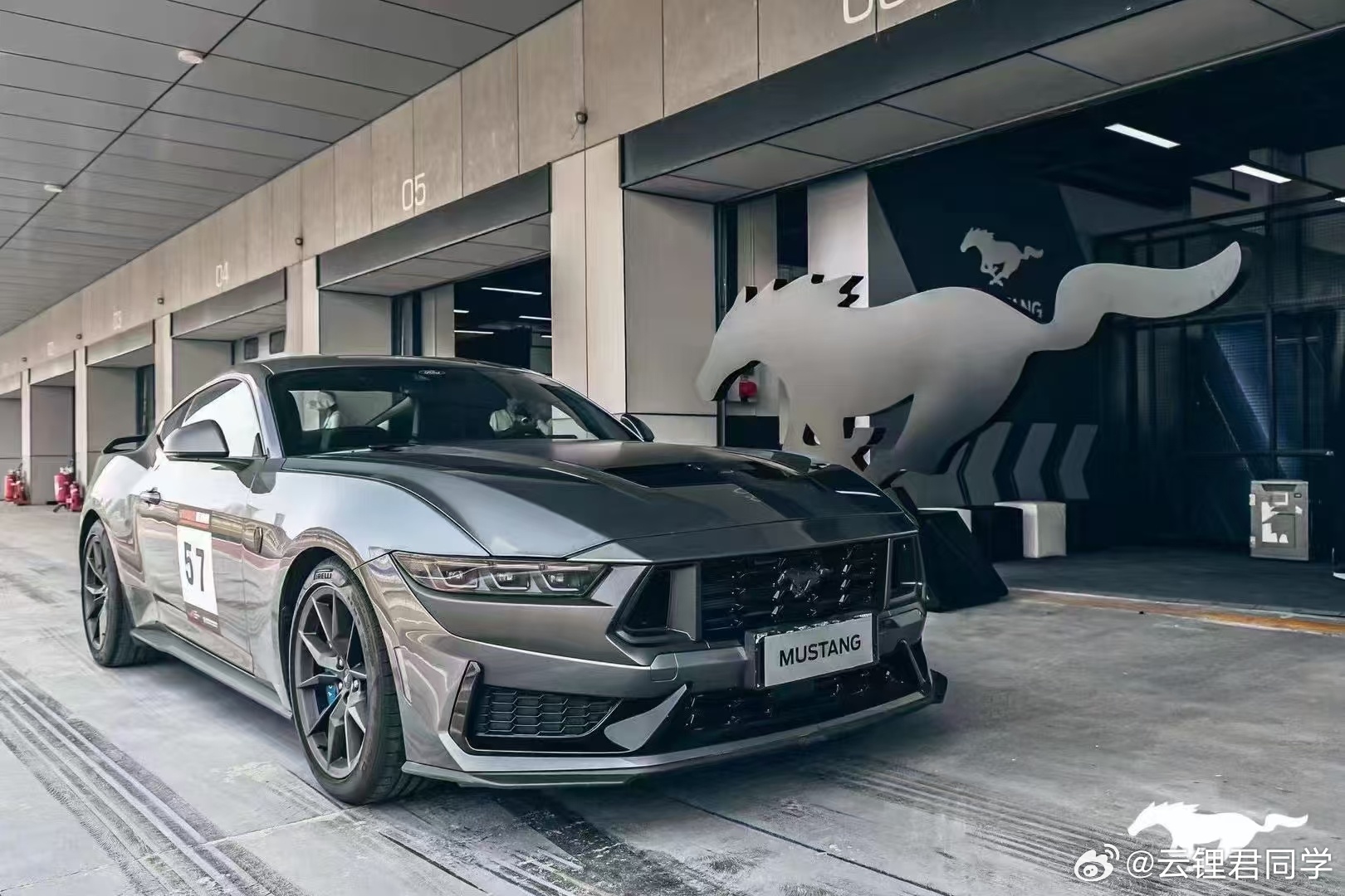 野馬擼最新動態(tài)，駕馭變化，自信成就夢想之旅