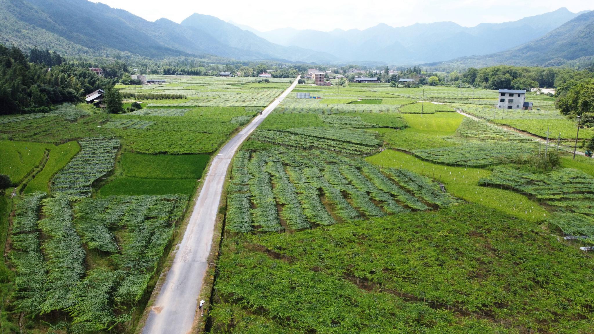 新文村，時代變遷下的文化繁榮與發(fā)展新篇章