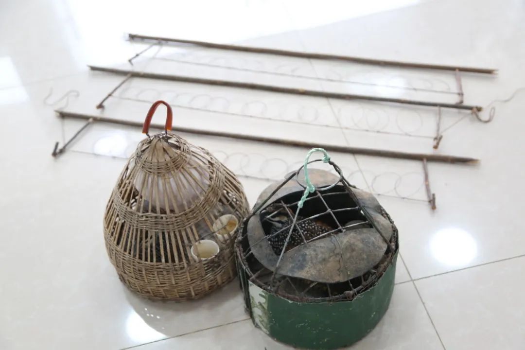 小巷中的神秘寶藏揭秘，最新捕鳥工具揭秘