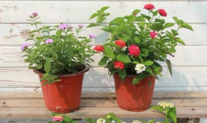 廣場燈具 第131頁