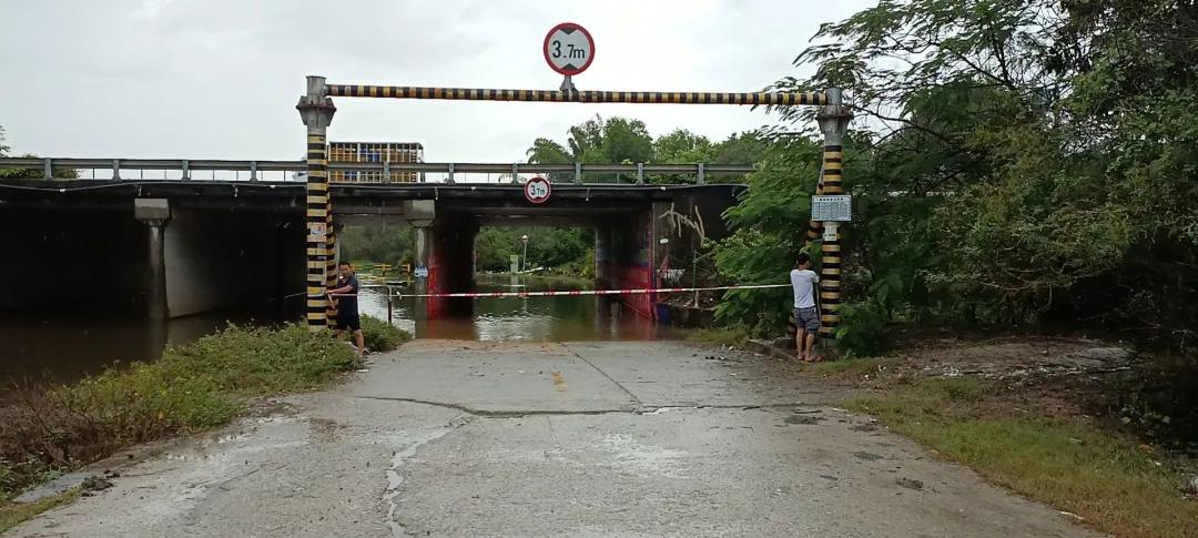 惠陽臺風最新消息，小巷深處的風味秘境