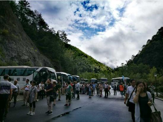 泰順高鐵最新動態(tài)更新，最新消息一覽