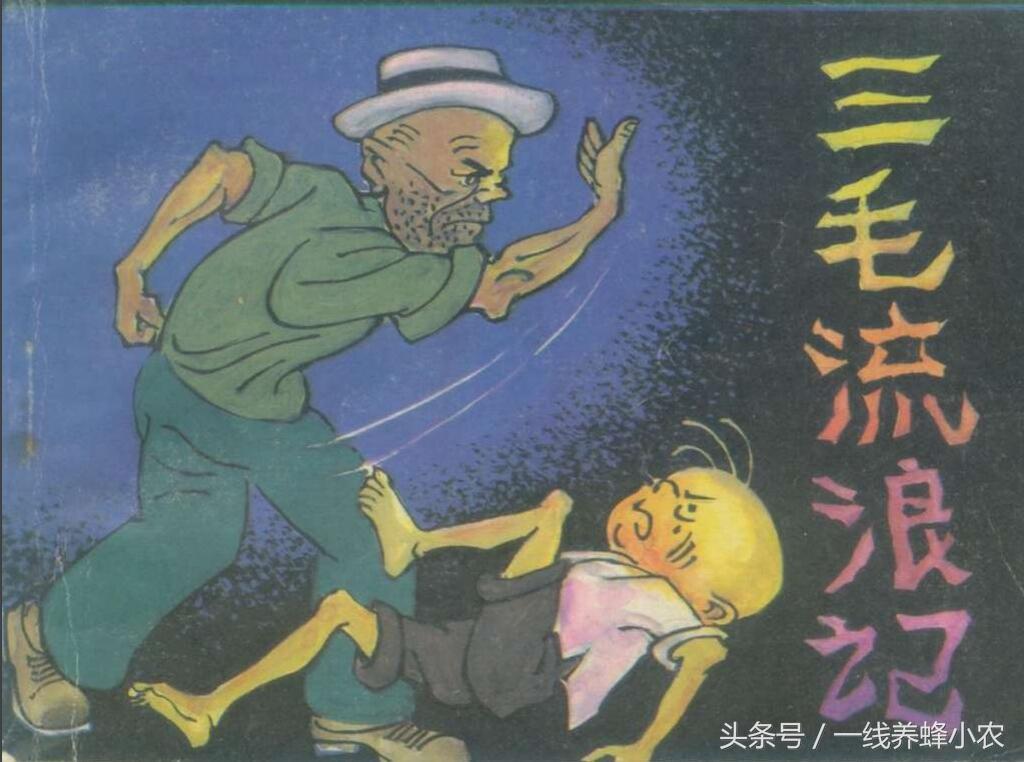 上海三毛最新動(dòng)態(tài)，自然美景探索之旅啟幕