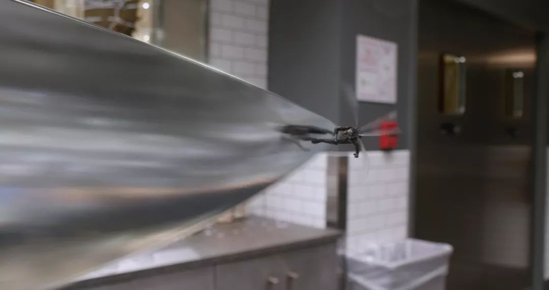 最新電泳技術(shù)，一路向前，學(xué)習(xí)成就自信之源