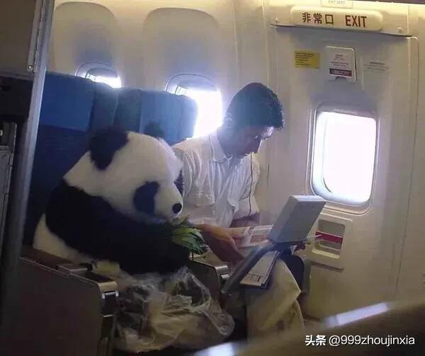 追逐變化之翼，學(xué)習(xí)鑄就自信與成就——虛幻最新探討