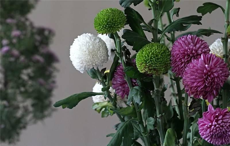 最新娛樂(lè)頭條，躍上成功舞臺(tái)的魔力之旅，自信與成就感的碰撞