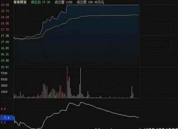 胡立陽最新探索，自然美景的治愈之旅