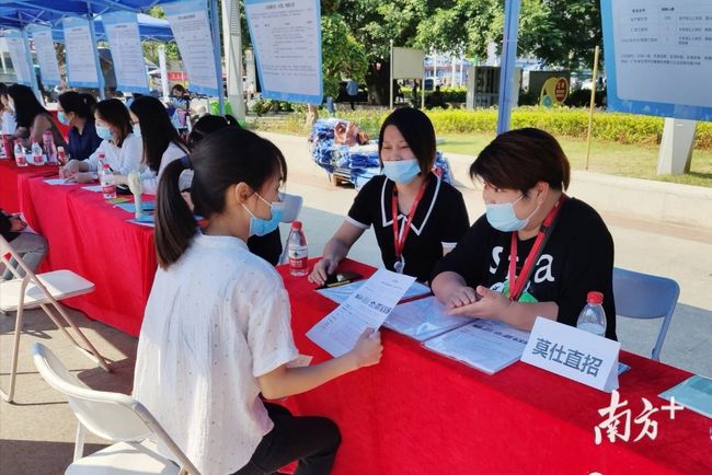 石碣最新招聘動(dòng)態(tài)，把握職業(yè)機(jī)遇，共創(chuàng)美好未來之路