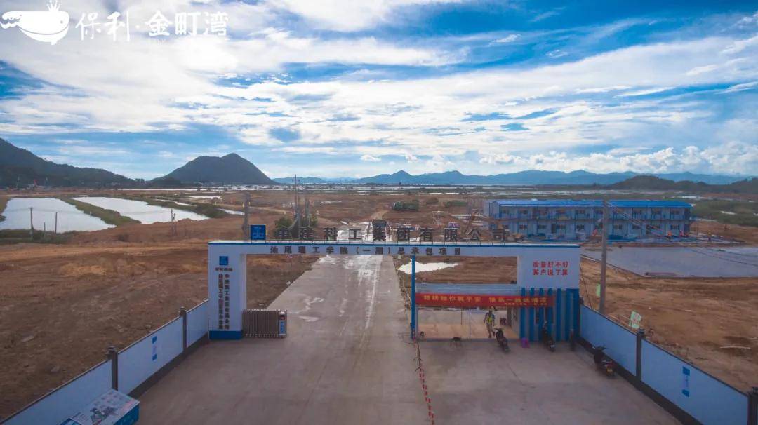 汕尾最新大項目揭秘，小巷深處的獨特風味