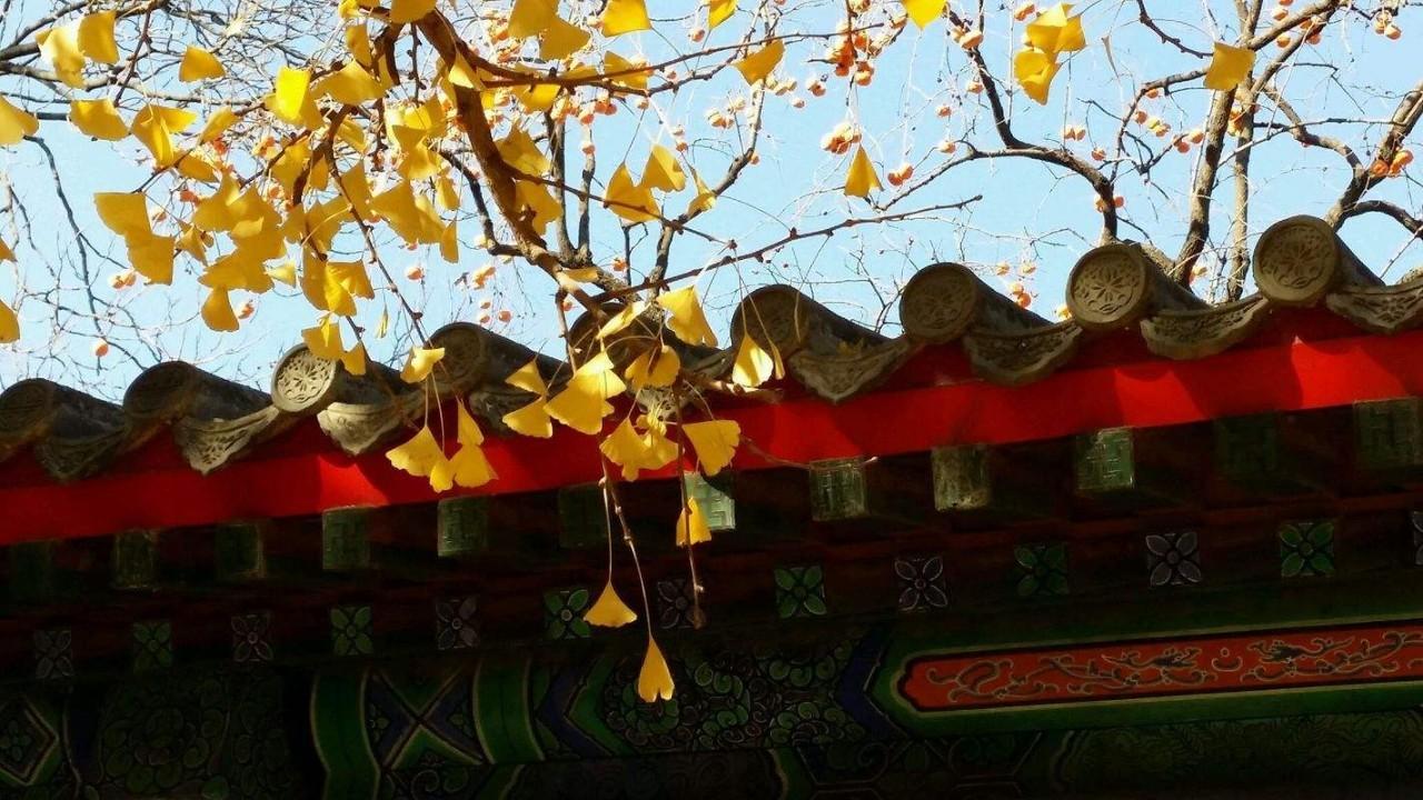 714路公交車(chē)最新路線(xiàn)全面解析與體驗(yàn)之旅