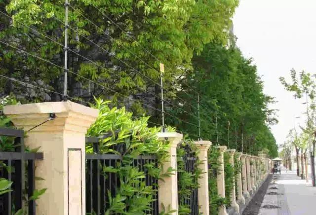 山河藥輔最新動(dòng)態(tài)，引領(lǐng)醫(yī)藥行業(yè)新篇章