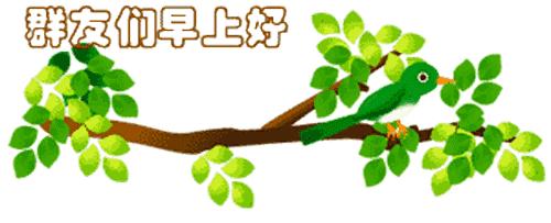 最新清晨祝福短信，晨曦中的溫暖問候，傳遞美好祝愿與關(guān)懷