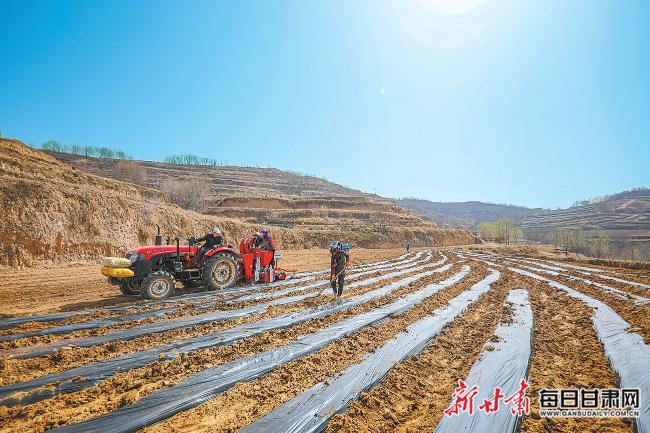 秦安最新新聞，城市溫情日常溫馨小事報道