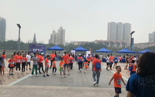 西關(guān)海最新動(dòng)態(tài)，夏日童趣與溫情涌動(dòng)