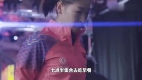 笑斯人最新視頻，日常趣事與友情的紐帶展現(xiàn)！