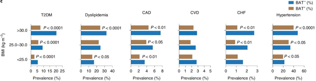 腦疾病最新研究，重塑大腦信心與成就感之路