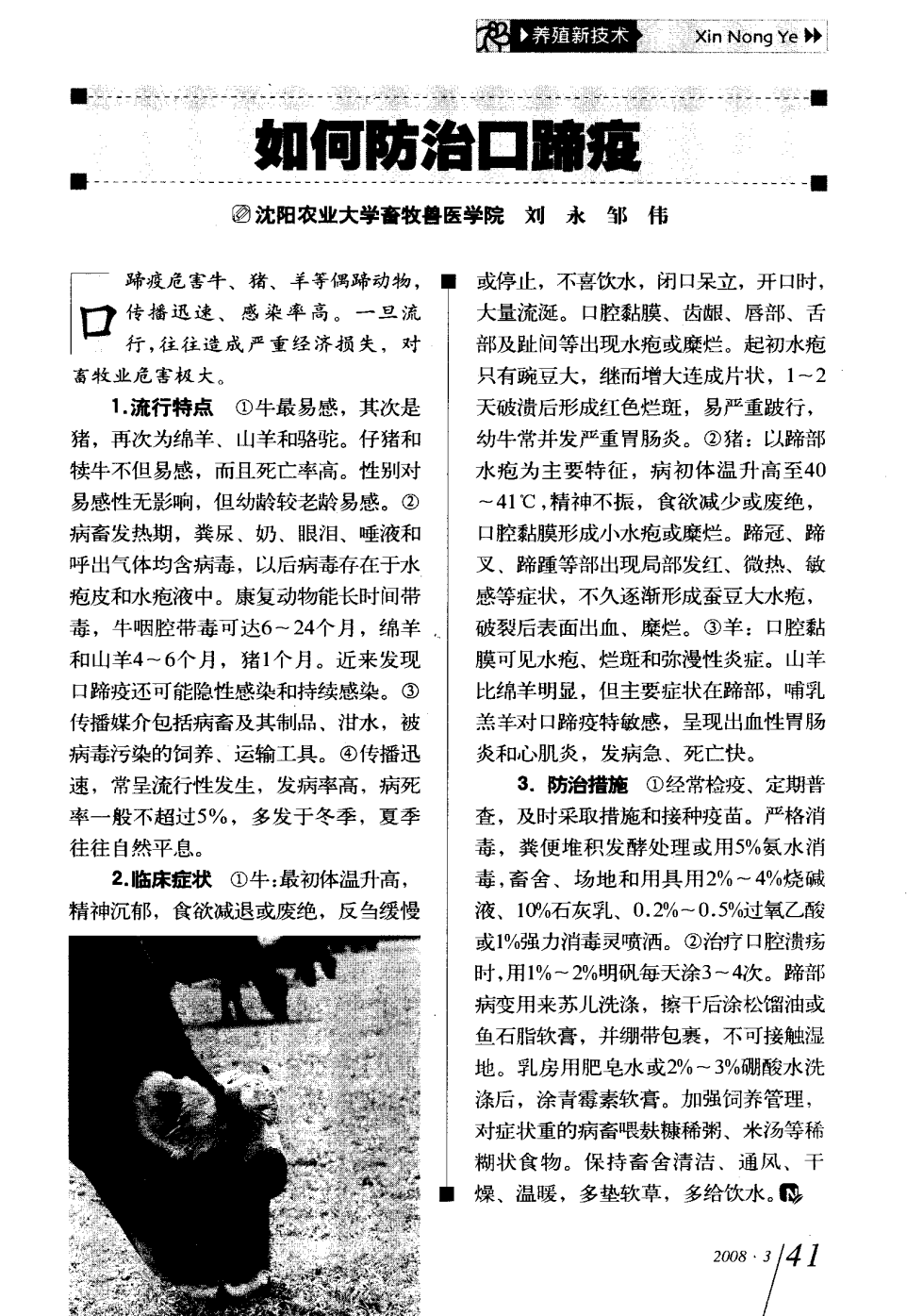 口蹄疫最新科研，自然探險與內心平和的追尋之旅