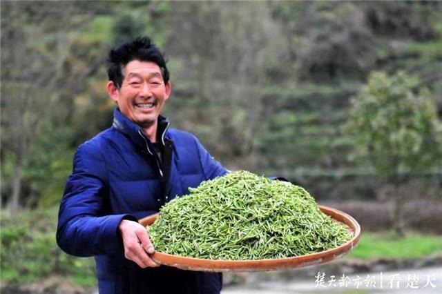 最新夷陵新聞，探索自然美景的旅程，尋覓內(nèi)心平和之地