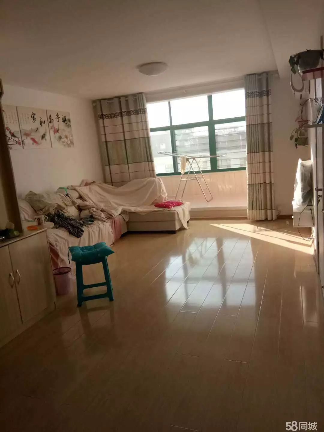 萊西最新個(gè)人租房，窗外世界與自我成長的旅程