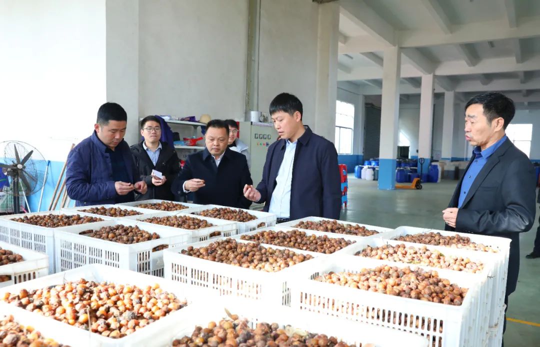 建寧最新新聞，城市溫馨日常與友情力量的展現(xiàn)