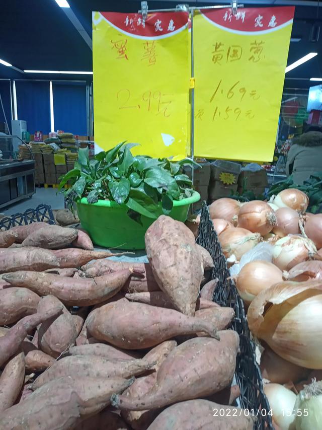 最新地瓜價格解析，查詢指南與任務(wù)攻略