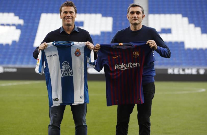 最新體育直播，與大自然共舞，探索寧靜的內心之旅