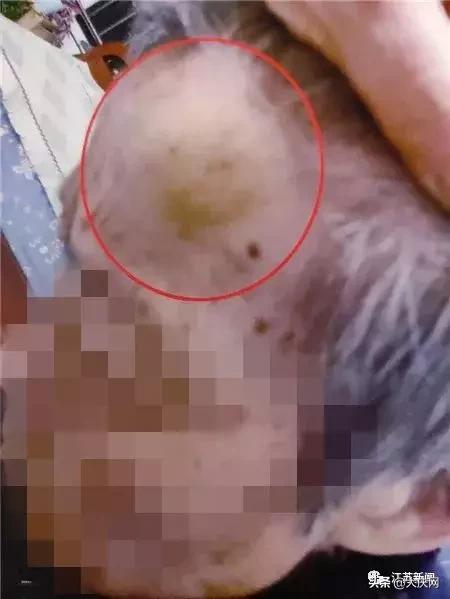 揪脖子最新視頻，探秘小巷風(fēng)情小店，獨(dú)家揭秘！