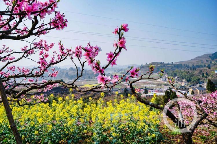 合川最新科技新聞，高科技產(chǎn)品引領(lǐng)未來生活潮流