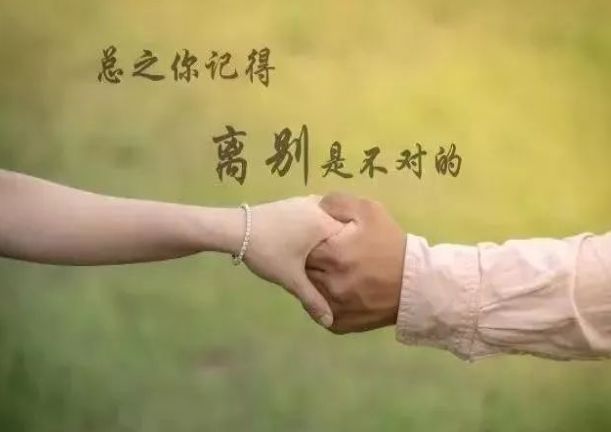 科技新品領(lǐng)略之旅，智能生活的前所未有體驗(yàn)