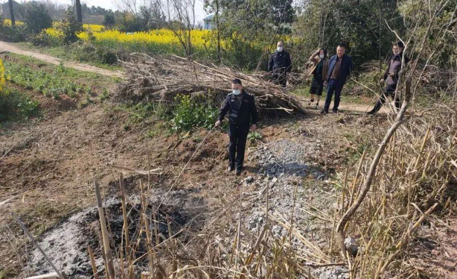 溧陽最新天氣，氣象變遷與地域影響探究