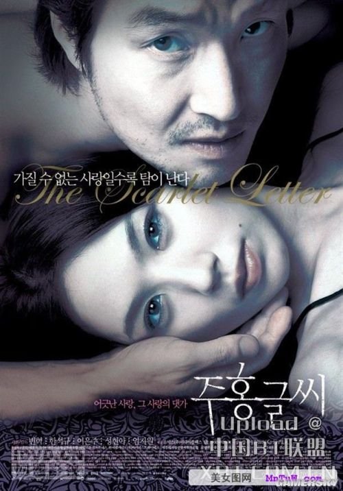 最新內(nèi)地倫理電影探索與啟示，揭示社會(huì)倫理的啟示與價(jià)值