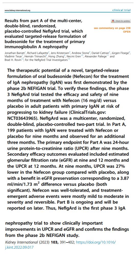 IGA腎病最新突破，醫(yī)學(xué)奇跡在小店中綻放的獨特魅力