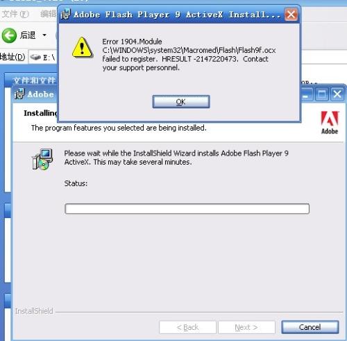 最新版Flash安裝與使用步驟指南，從安裝到使用，輕松上手！