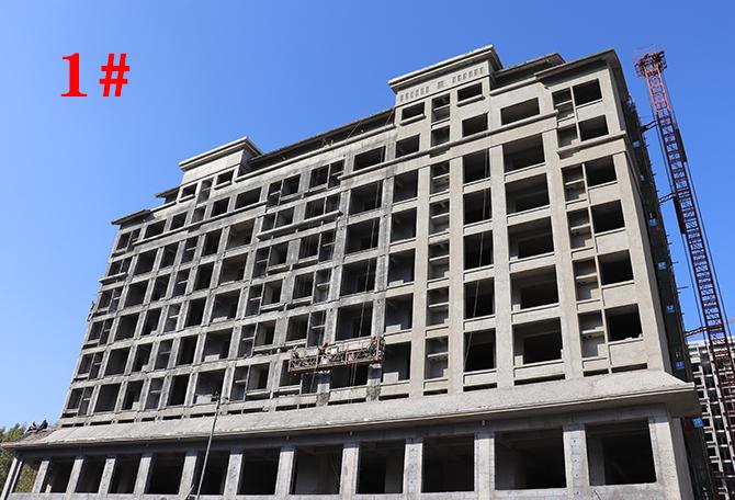 平輿最新樓盤市場(chǎng)現(xiàn)狀與前景展望，深度解析市場(chǎng)趨勢(shì)與發(fā)展前景展望