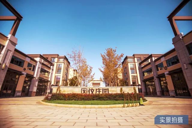 鳳儀莊園最新動(dòng)態(tài)，家的溫馨與友情的綻放時(shí)刻