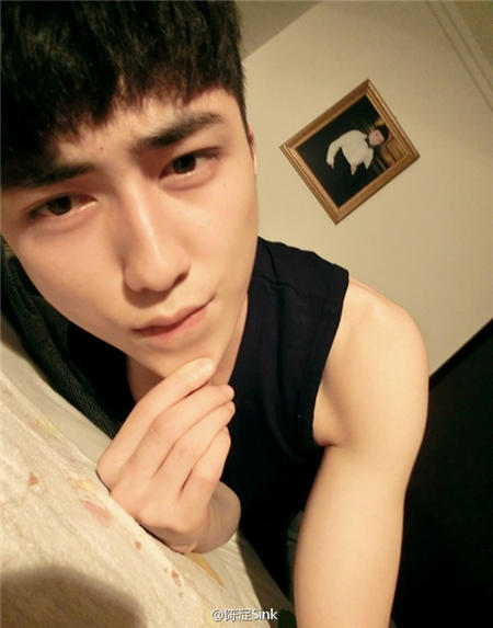 陳淀最新圖片，自然美景的探索之旅，尋覓內(nèi)心平和與喜悅的源泉