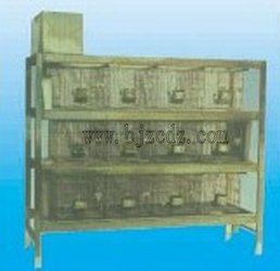 最新式兔籠，打造溫馨舒適的小天地，讓兔子樂享家園！