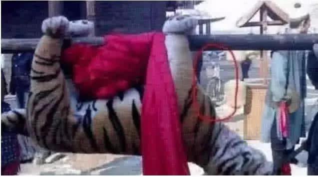 最新打虎消息，探尋內(nèi)心平靜的打虎之旅