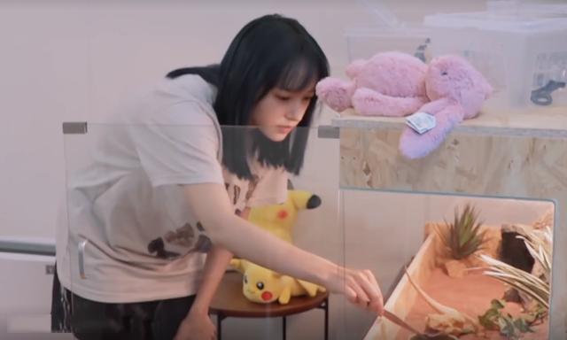 程瀟最新綜藝節(jié)目，心動瞬間，不容錯過！?